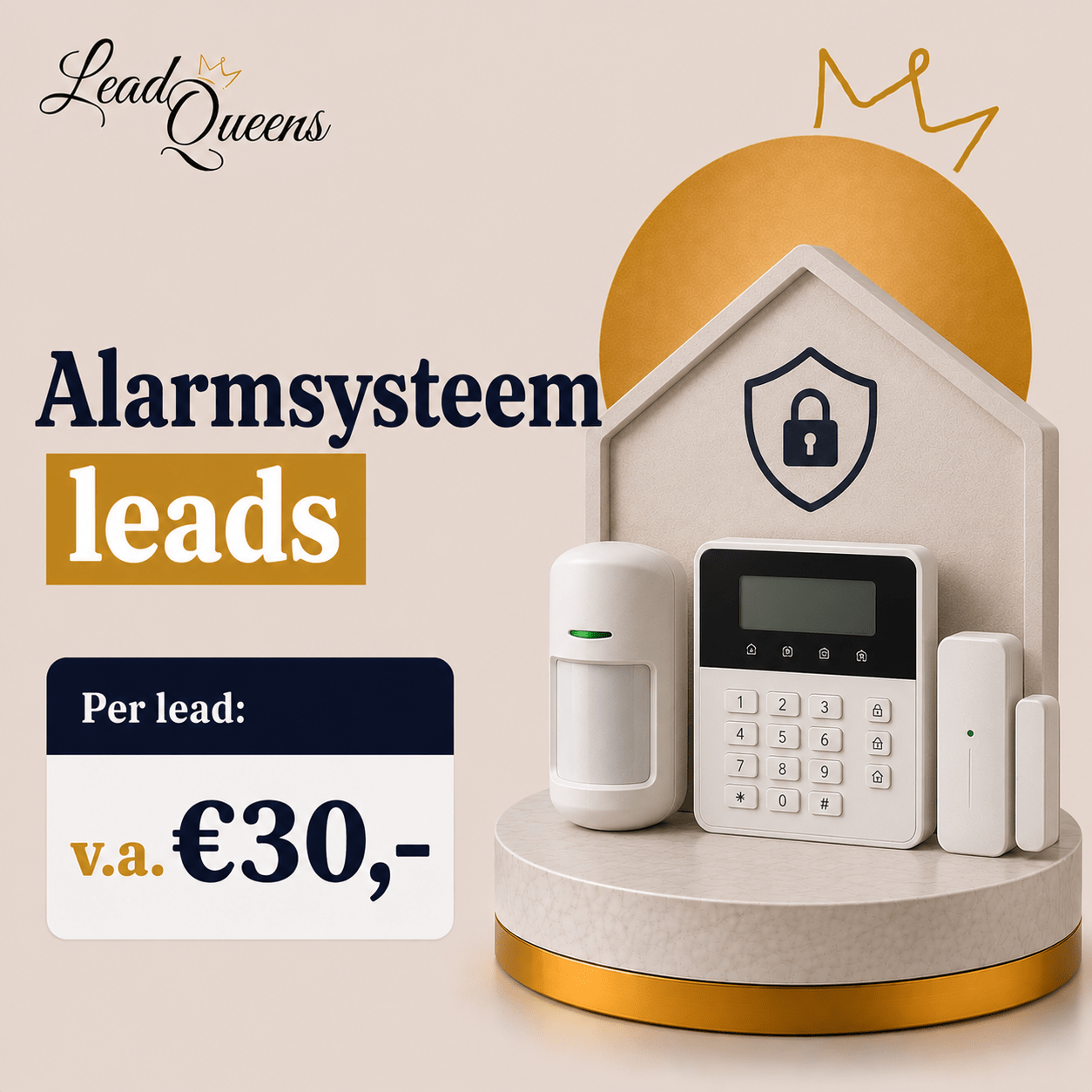 Alarmsysteem Leads